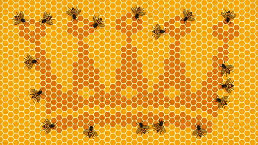 Art for "How Equality and Inequality Shape the Birds and the Bees"