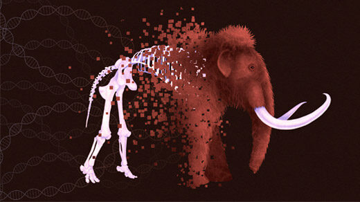 Illustration of a wooly mammoth with its hind quarters still being assembled from digital blocks.