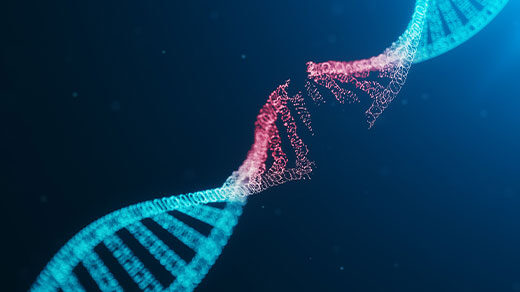 Artist’s conception of DNA breaking.