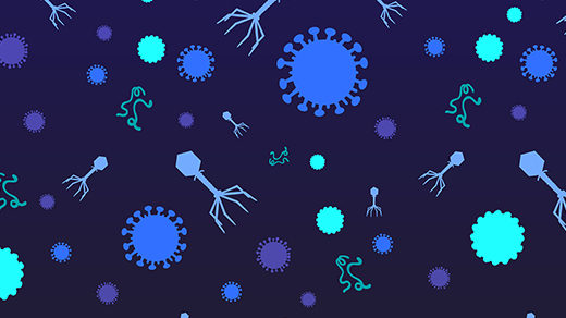 Art for "Scientists Discover Nearly 200,000 Kinds of Ocean Viruses"