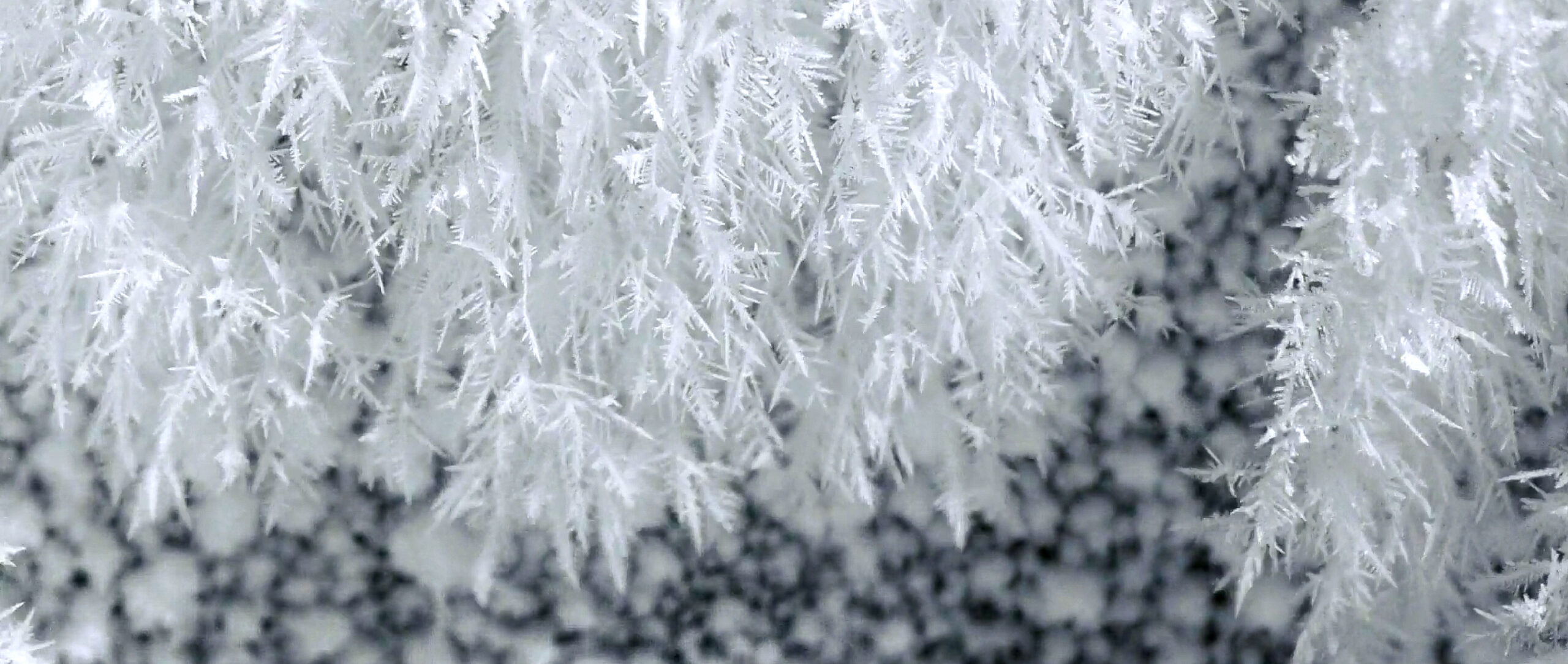 Dendritic ice crystals grow from top to bottom across the frame of a video.