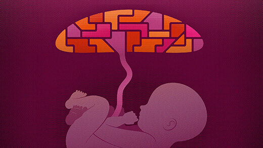Illustration of a placenta that is a mosaic of different colors, with a connected fetus that is all one color.