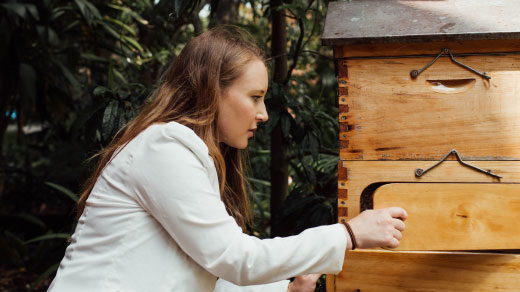 Photo of Scarlett Howard, a researcher at the University of Toulouse, working with honeybees